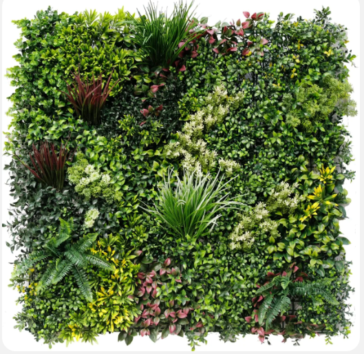 Luxury Evergreen Rainforest